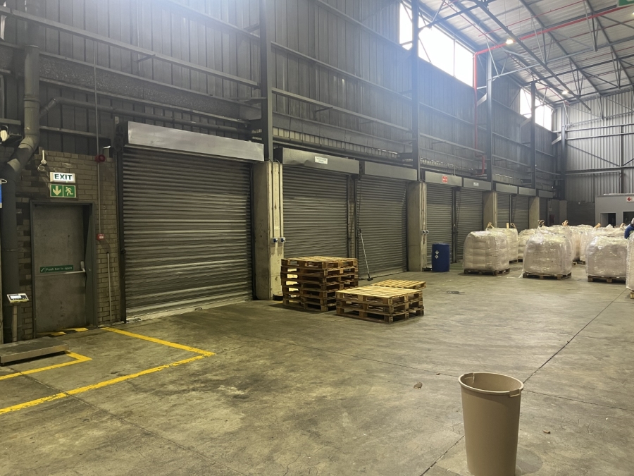 To Let commercial Property for Rent in Montague Gardens Western Cape